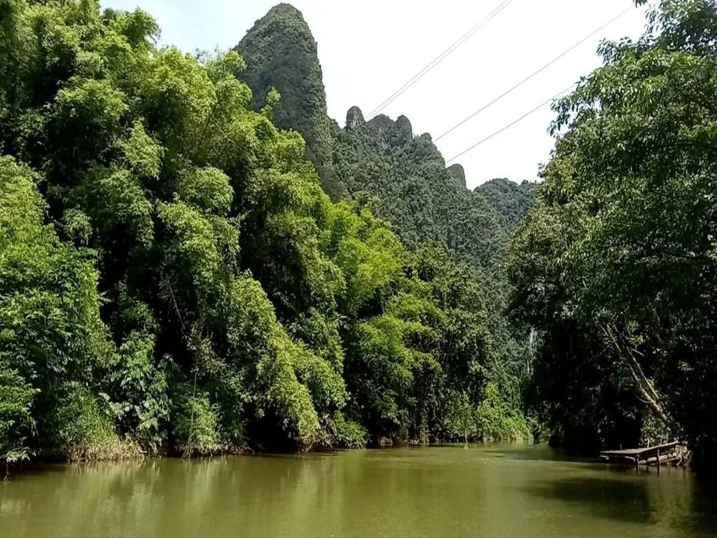 Khaosok Rainforest Full-Day Tour - Photo 2