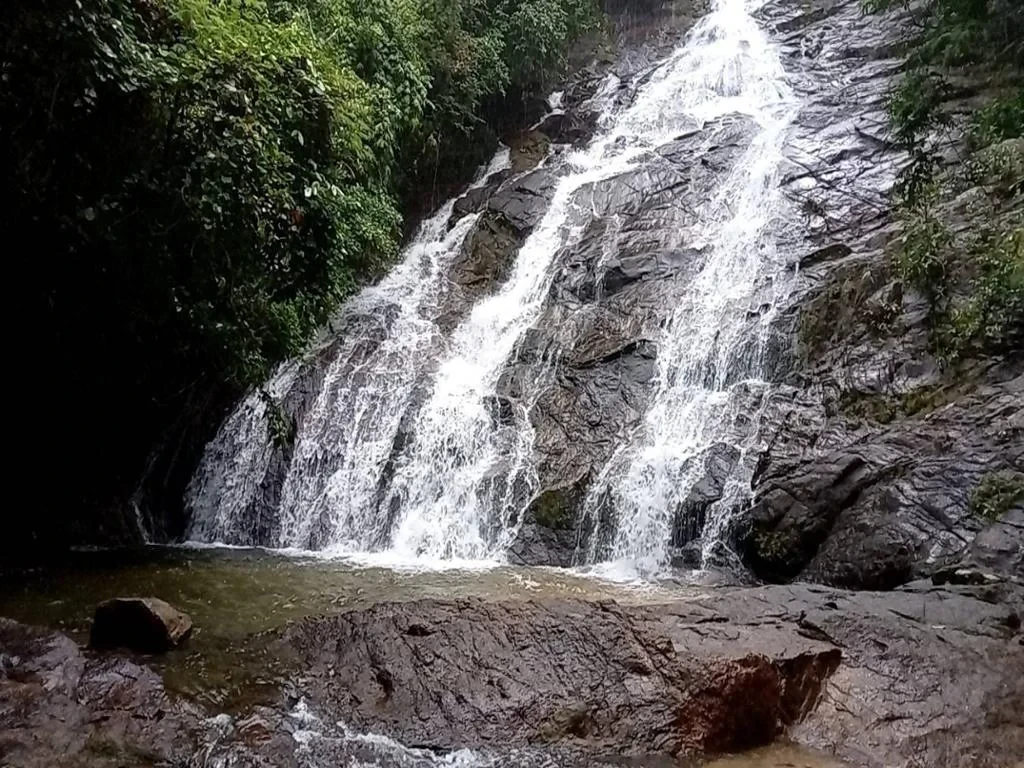 Khaosok Rainforest Full-Day Tour - Photo 3