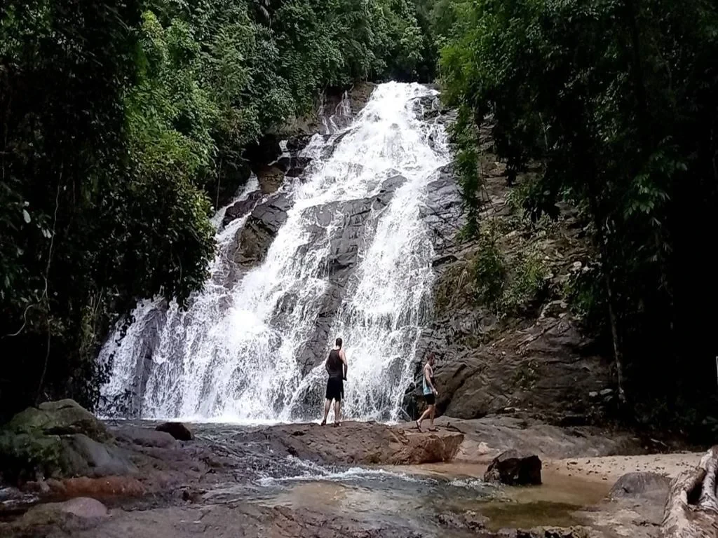 Khaosok Rainforest Full-Day Tour - Photo 6