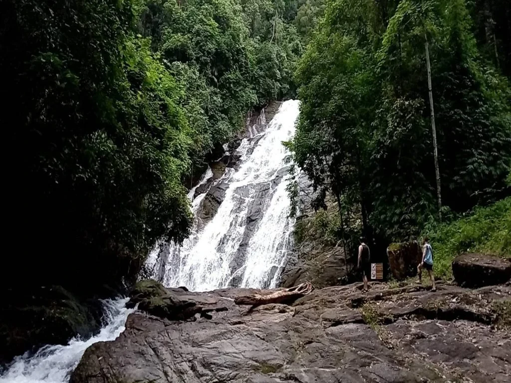 Khaosok Rainforest Full-Day Tour - Photo 7