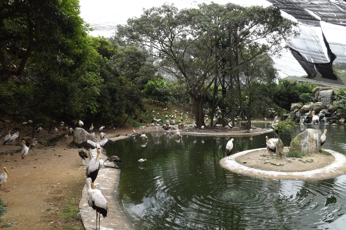 KL Bird Park Tickets