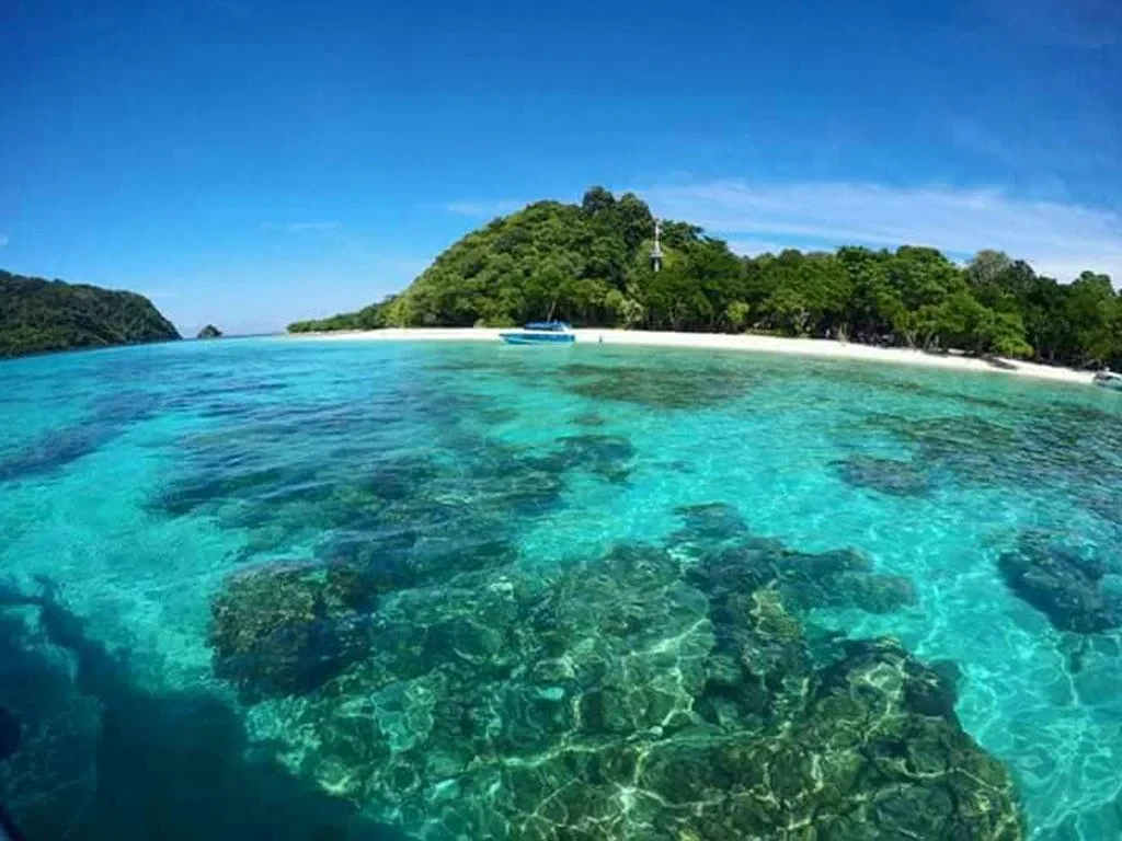 Koh Rok 1 Day Tour - Photo 6