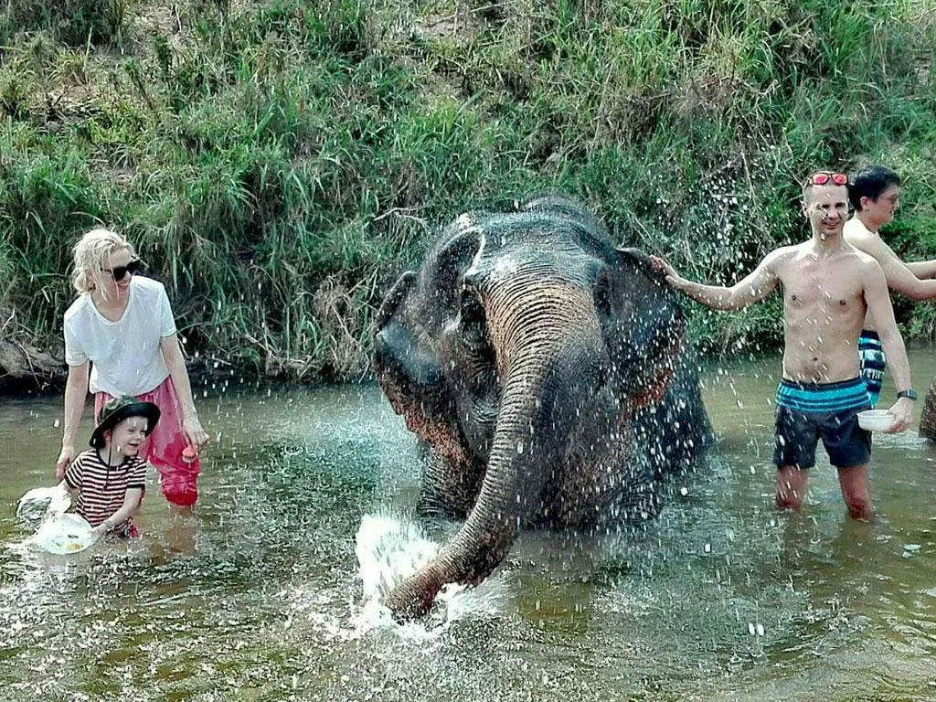 Krabi Elephant Care - Half-Day Tour - Photo 2
