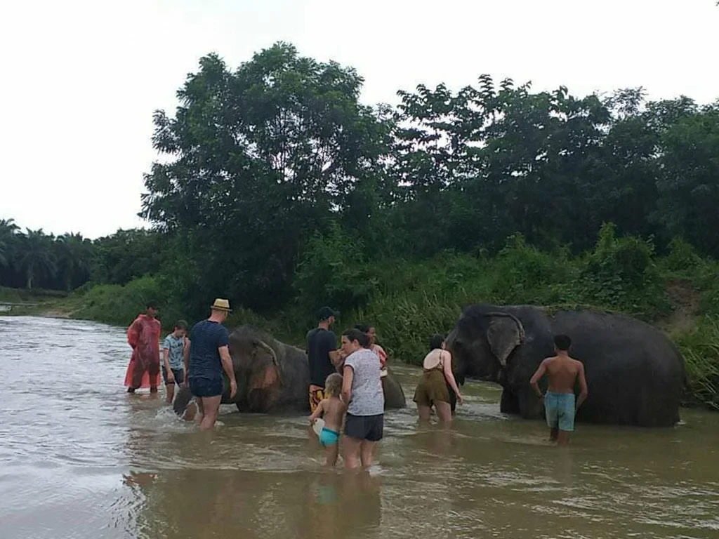 Krabi Elephant Care - Half-Day Tour - Photo 4