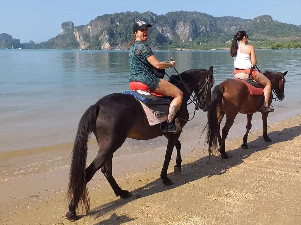 Krabi Horse Courses - Photo 4