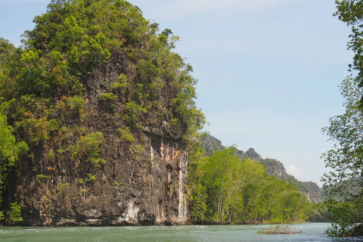 Jungle-covered limestone karst and mangroves lining a calm river in Kilim Geoforest Park