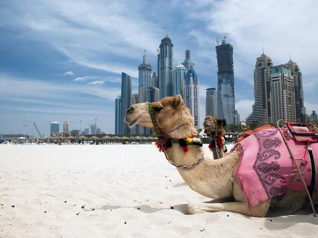 Modern Dubai Tour - Private - Photo 6