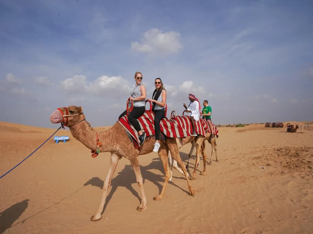 Morning Desert Safari, Sandboarding and Camel Ride - Photo 2