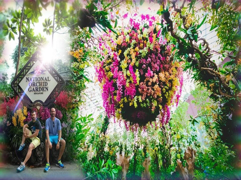 National Orchid Gardens - Photo 7