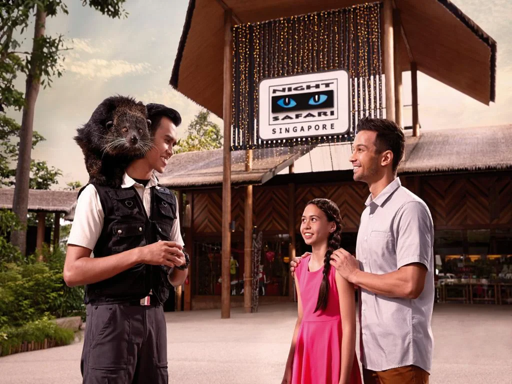 Night Safari - Ticket