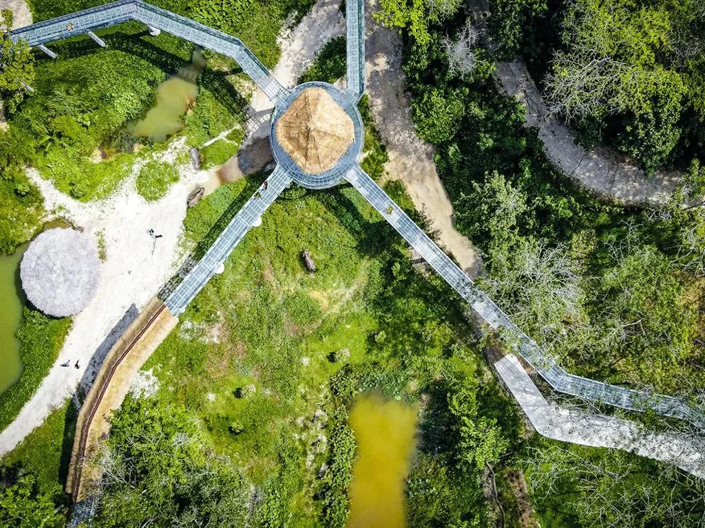 PES Canopy Walkway Program - Photo 2