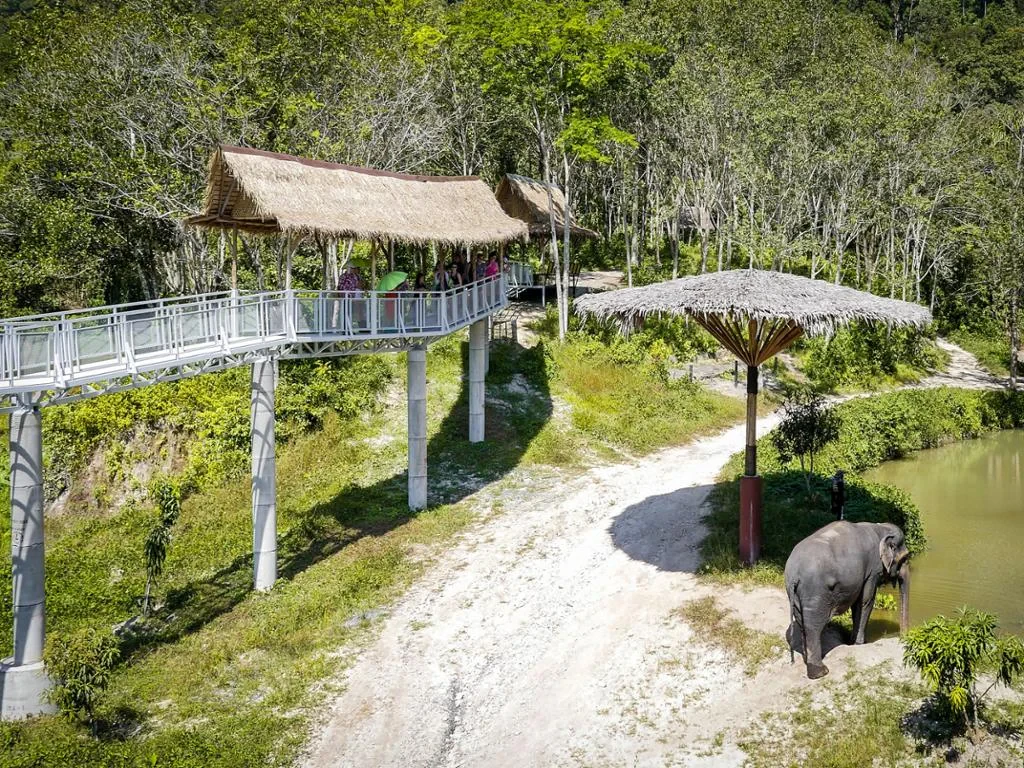 PES Canopy Walkway Program - Photo 3