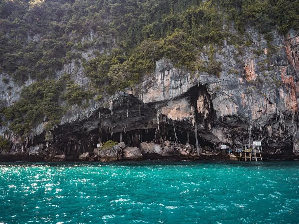 Phi Phi Island and Bamboo Island by Speed Catamaran with Lunch - Full-Day Tour - Photo 6