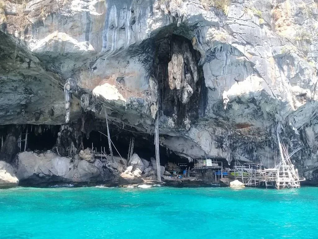 Phi Phi Island Tour Early Bird - Photo 4