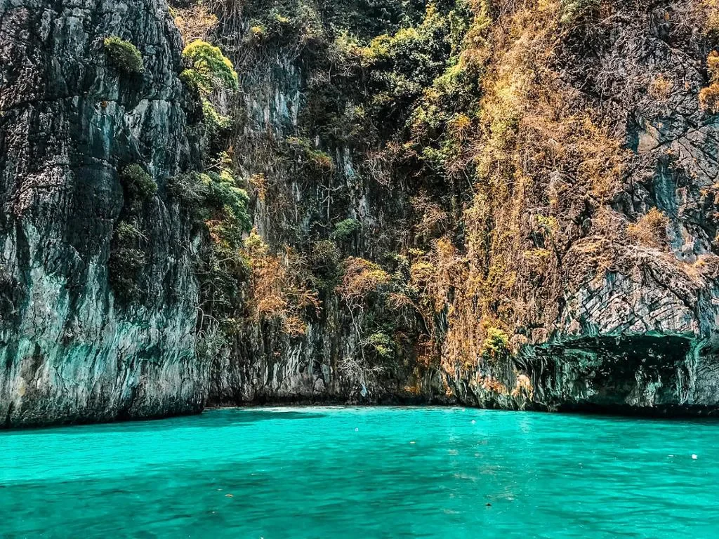 Phi Phi Islands by Premium Speedboat - Full-Day Tour - Photo 6
