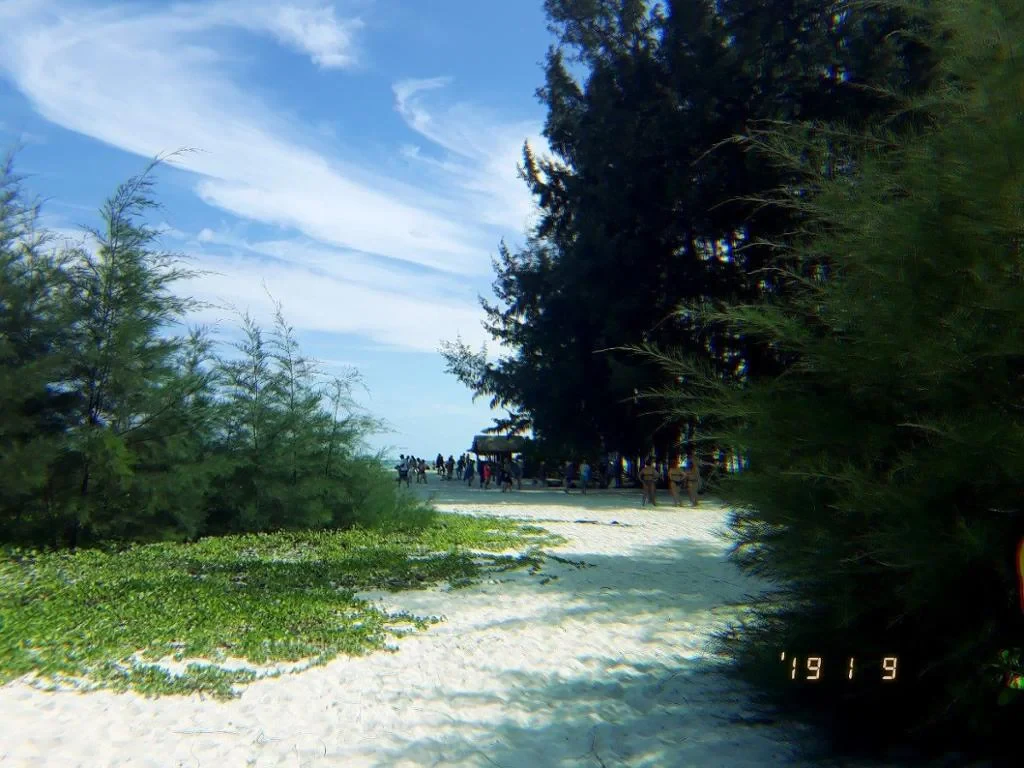 Phi Phi + Maya + Bamboo Island Tour by Speedboat - Photo 6