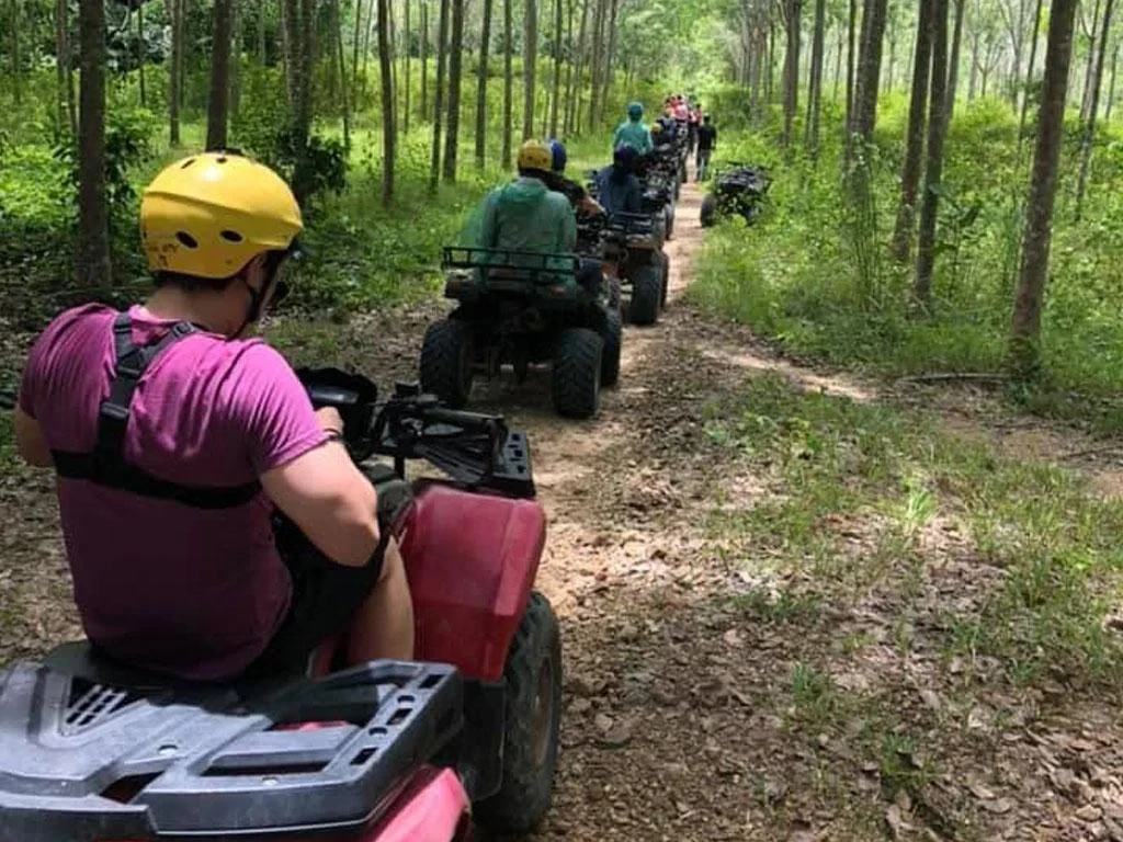 Quad  Bike Tour - Photo 2