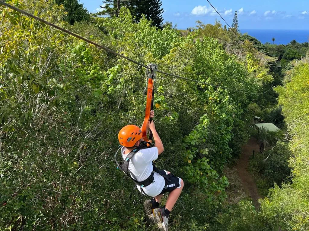 Quad Tour and Zip Line Adventure - Photo 2