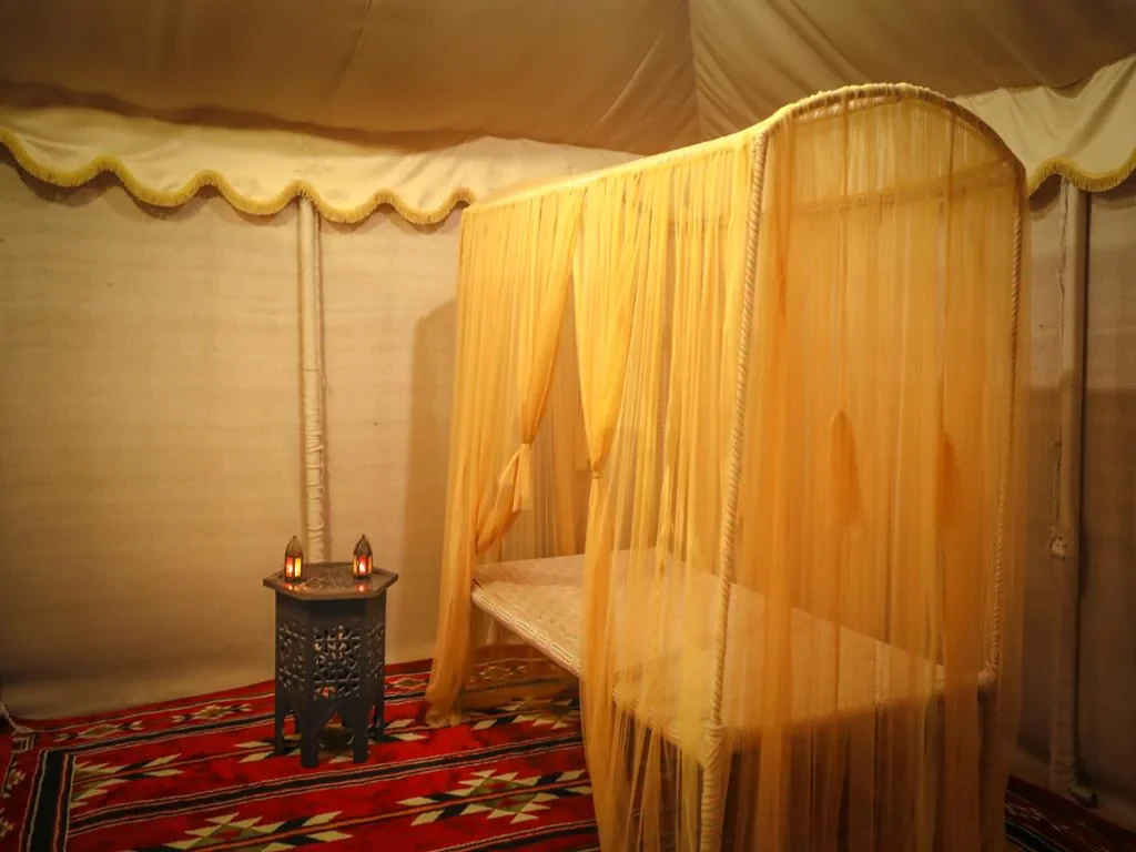 Red Dunes and Camel Safari with Overnight Camp Stay - Photo 4