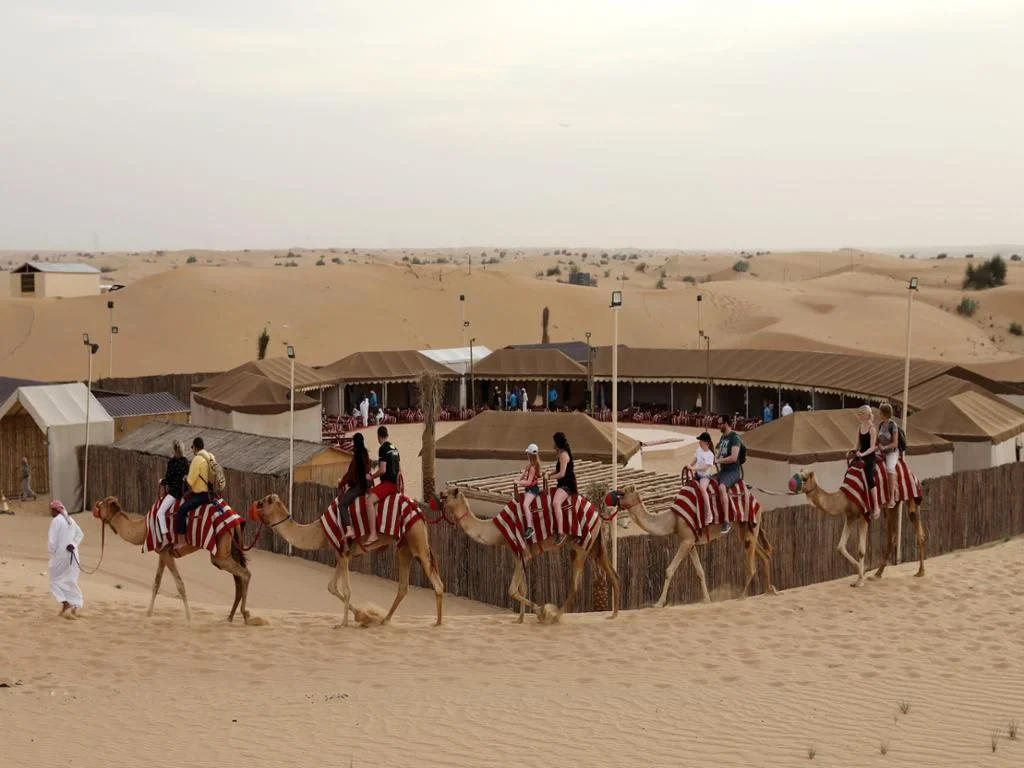 Red Dunes Desert Safari and Camel Ride with BBQ at Al Khayma Camp