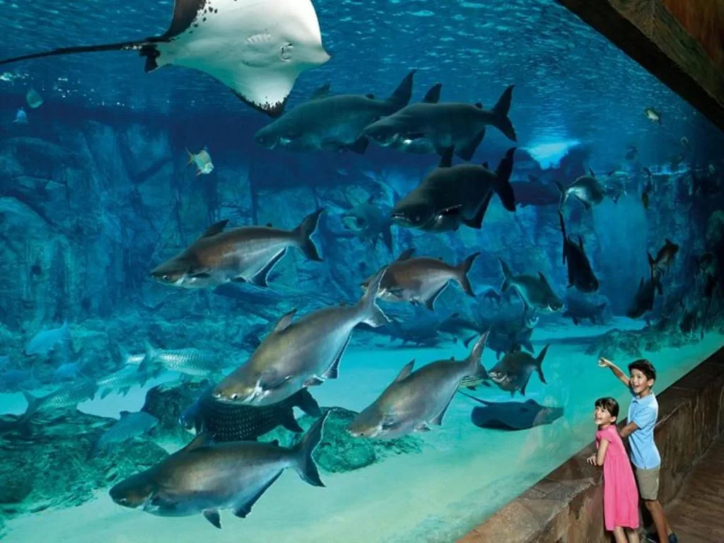 River Wonders - Ticket - Photo 4