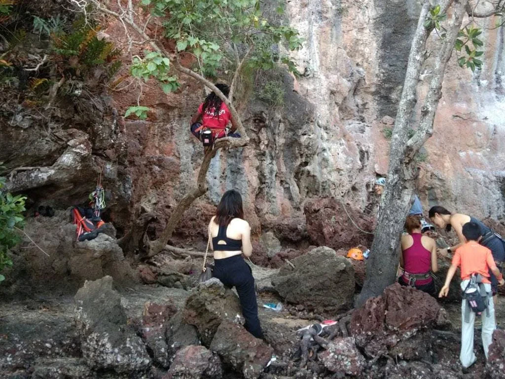 Rock Climbing - Half-Day Tour - Photo 3