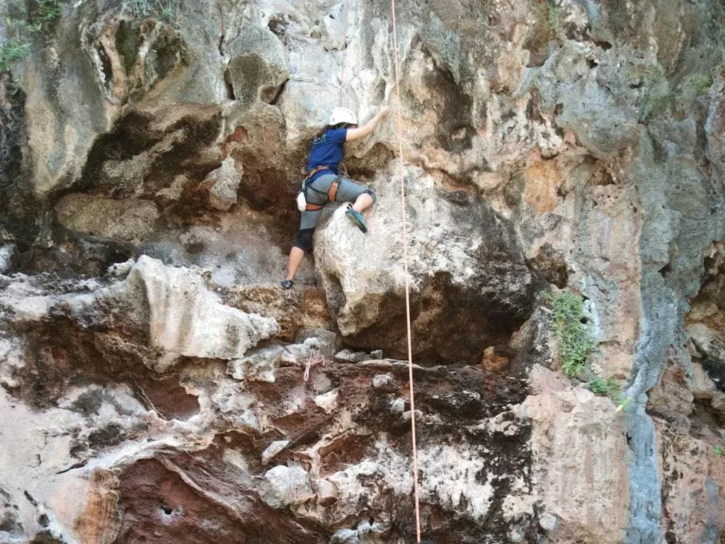Rock Climbing - Half-Day Tour - Photo 4