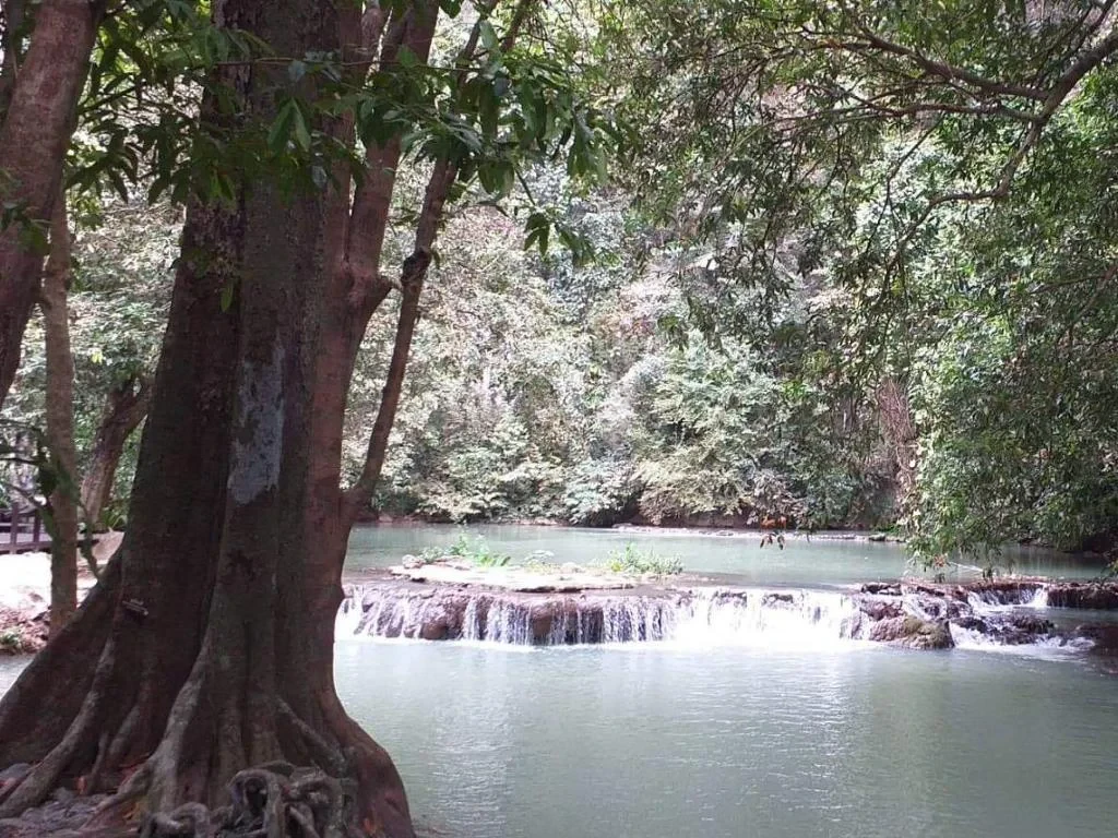 Romantic Krabi: Wat Suwankuha, Waterfall Park, Tiger Cave and Aonang Beach - Full-Day Tour - Photo 5