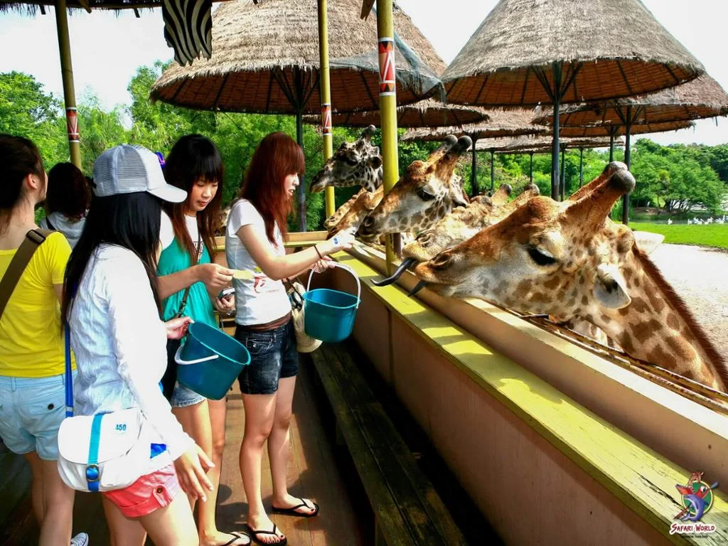Safari World Bangkok with Marine Park and International Lunch - Full-Day Tour with Hotel transfer - Photo 2