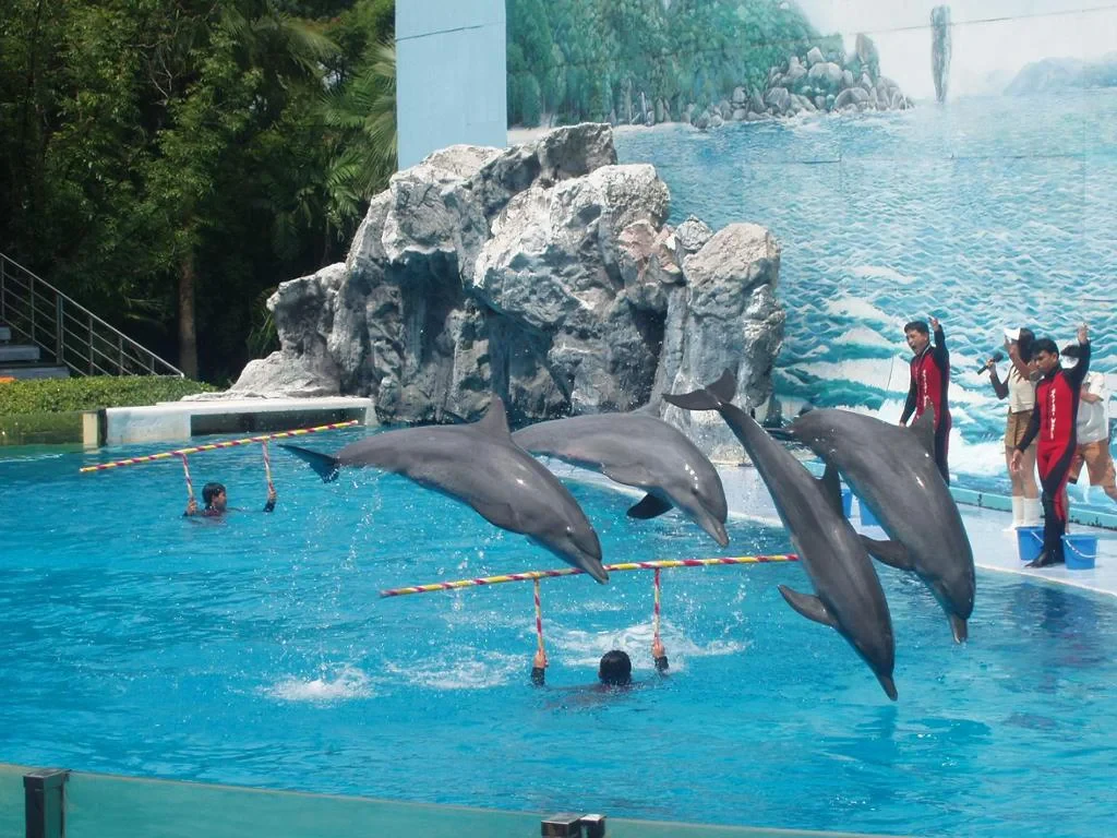 Safari World Bangkok with Marine Park and International Lunch - Full-Day Tour with Hotel transfer - Photo 3