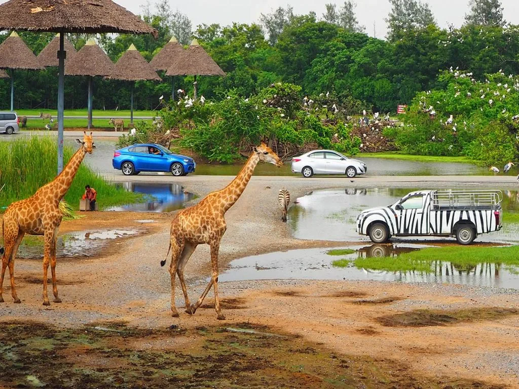 Safari World Bangkok with Marine Park and International Lunch - Full-Day Tour with Hotel transfer - Photo 7