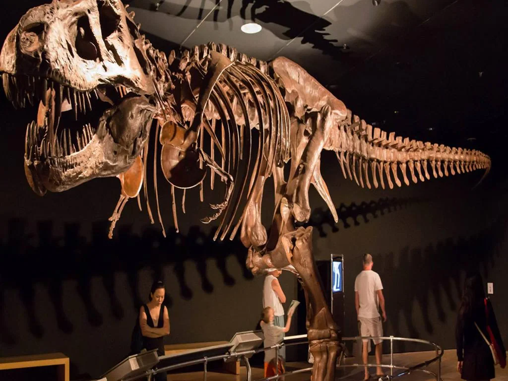 Science Centre - Photo 7