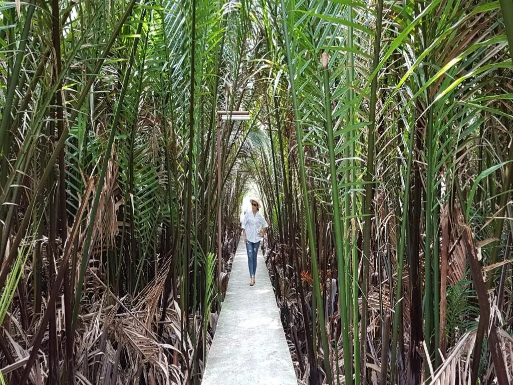 See Lungs of Bangkok with an Oasis of Green Forest and Fresh Market - Private Tour