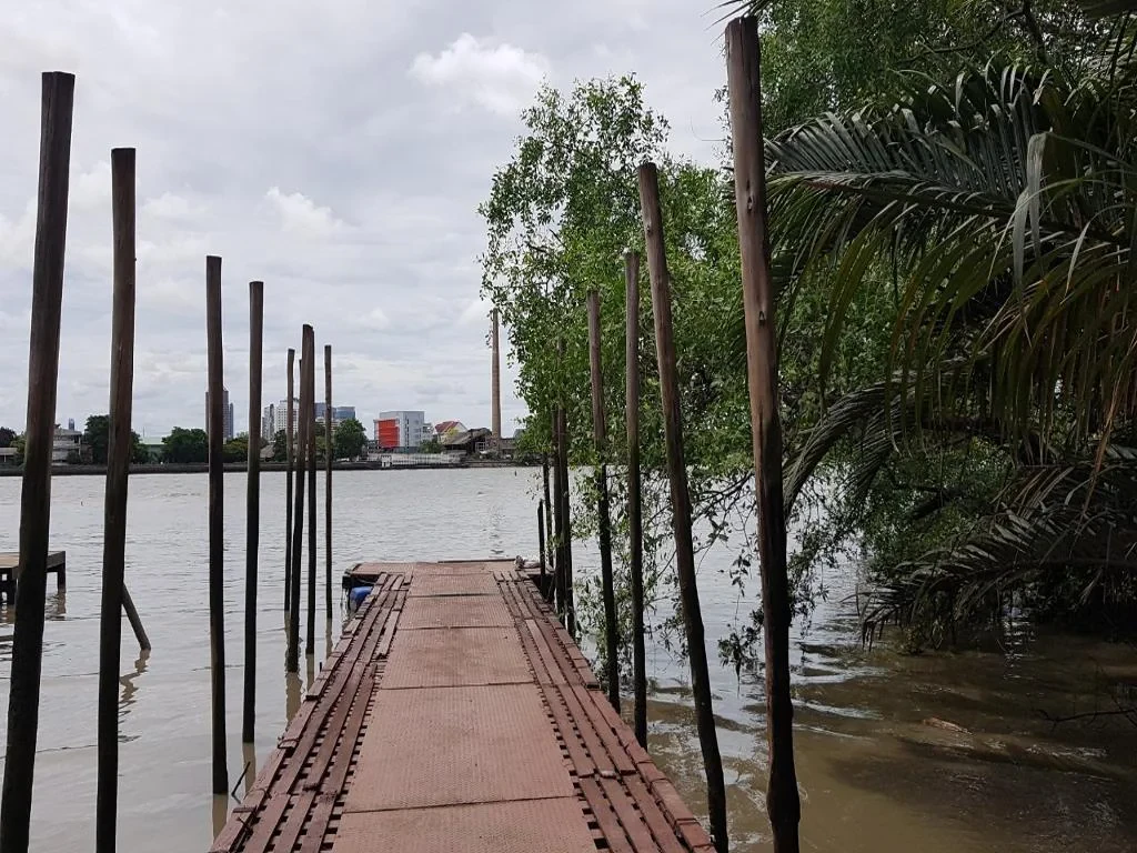 See Lungs of Bangkok with an Oasis of Green Forest and Fresh Market - Private Tour - Photo 4