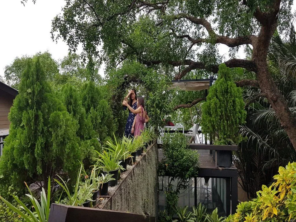 See Lungs of Bangkok with an Oasis of Green Forest and Fresh Market - Private Tour - Photo 6