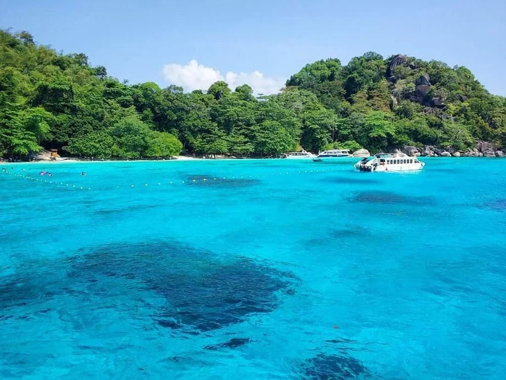 Similan Island Tour