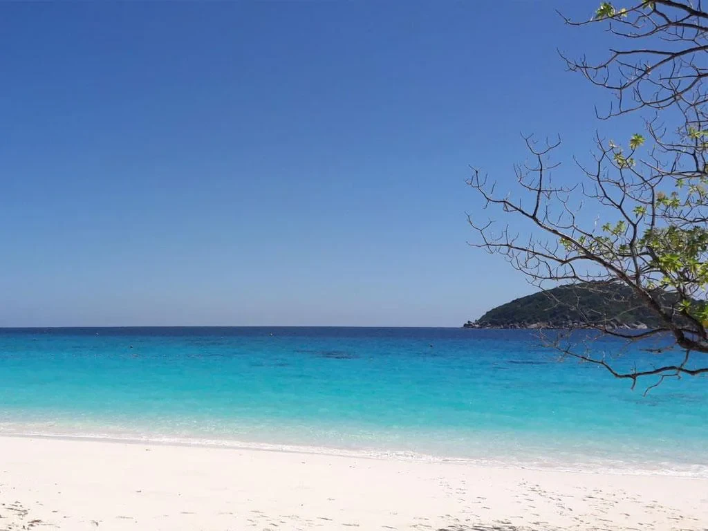 Similan Island Tour - Photo 6