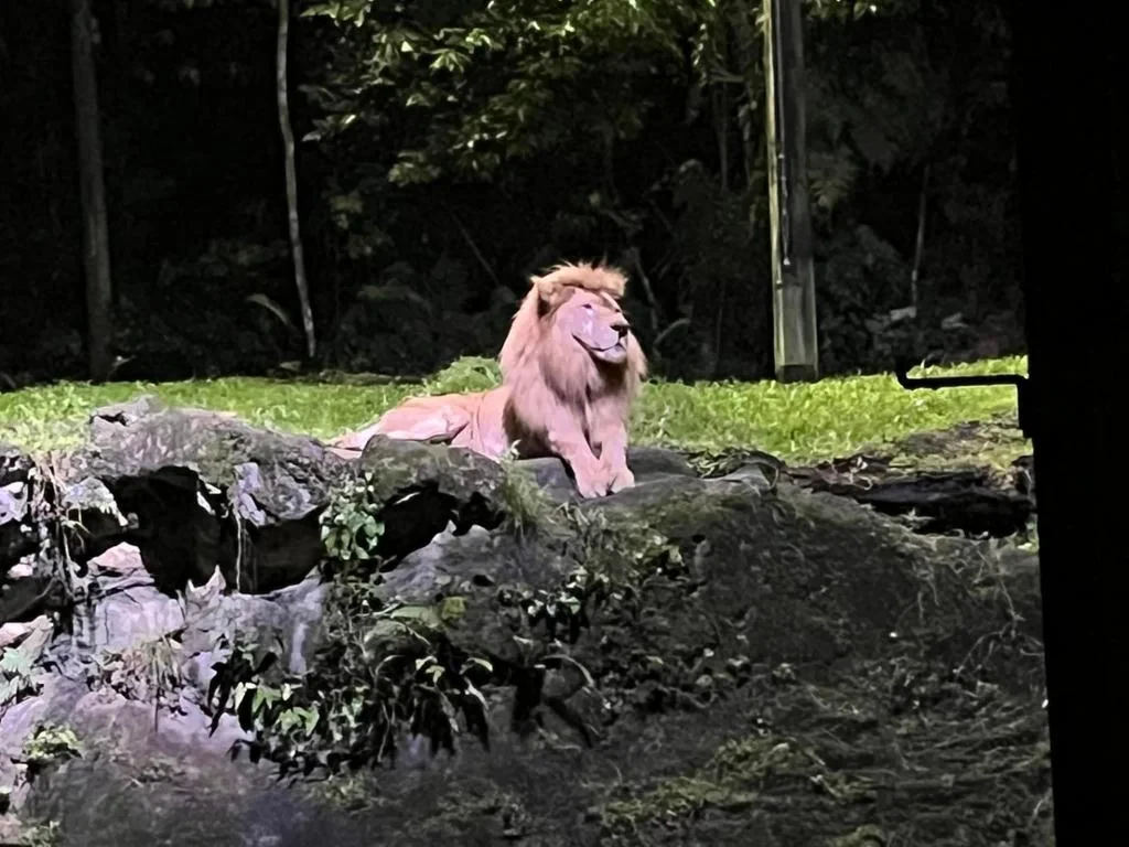 Singapore Night Safari – Ticket - Photo 2