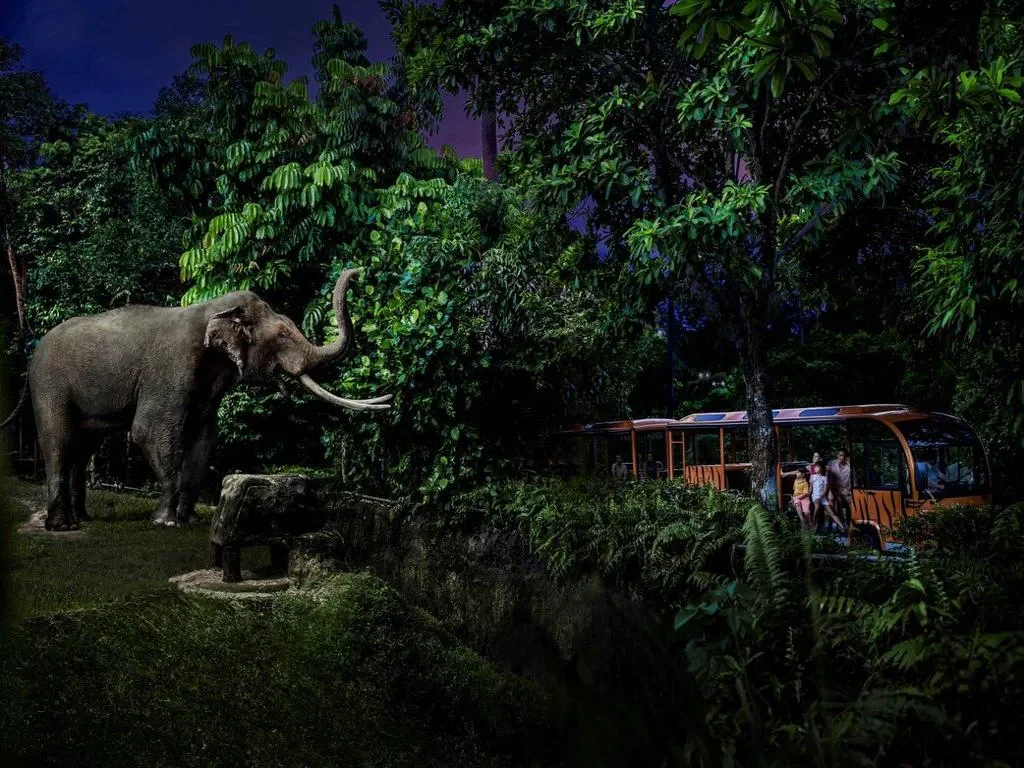 Singapore Night Safari – Ticket - Photo 3