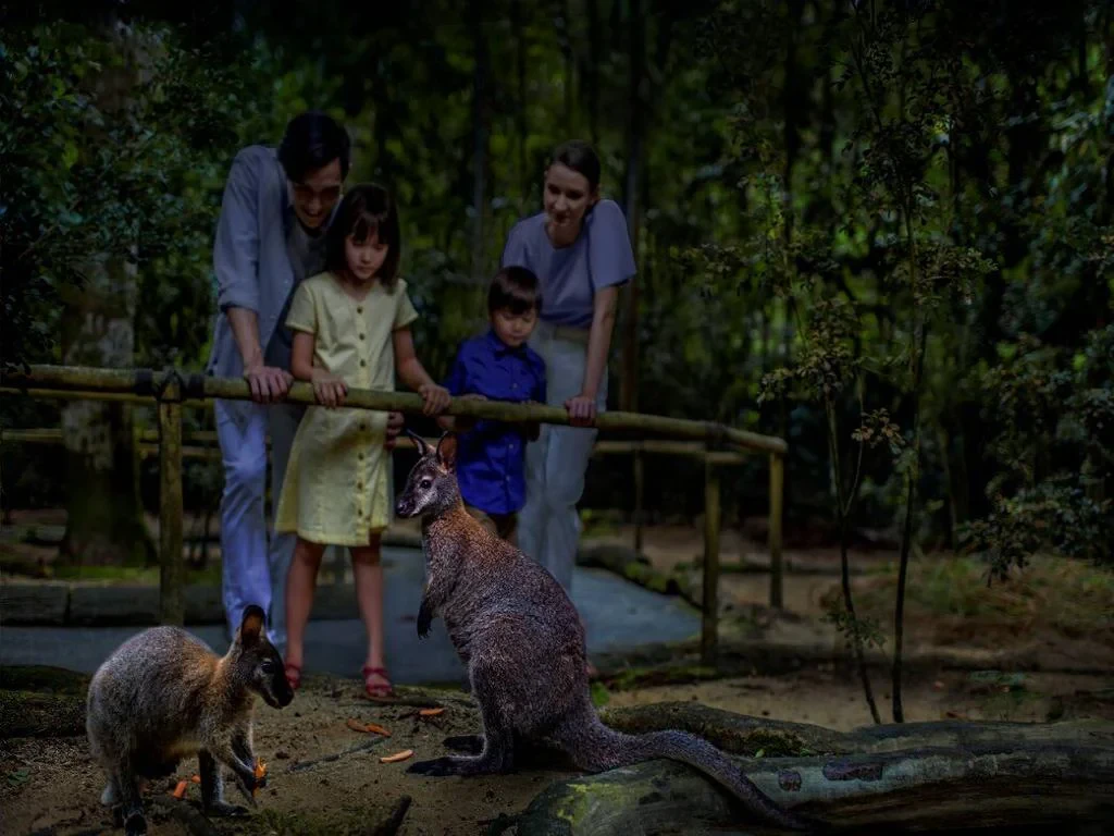 Singapore Night Safari – Ticket - Photo 4