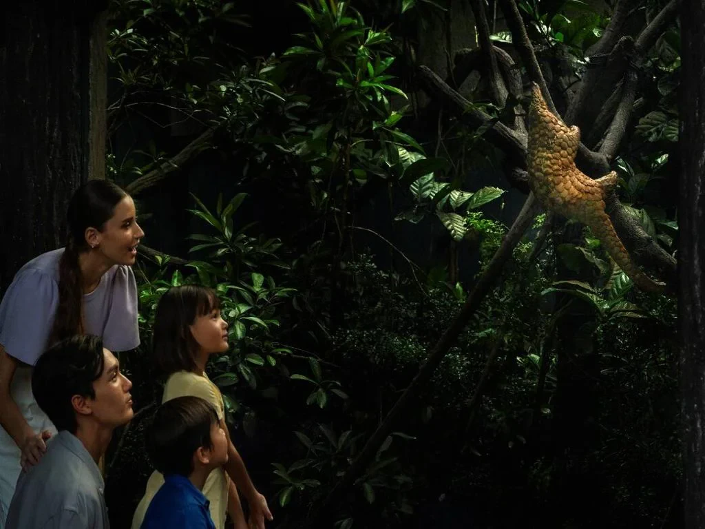 Singapore Night Safari – Ticket - Photo 5
