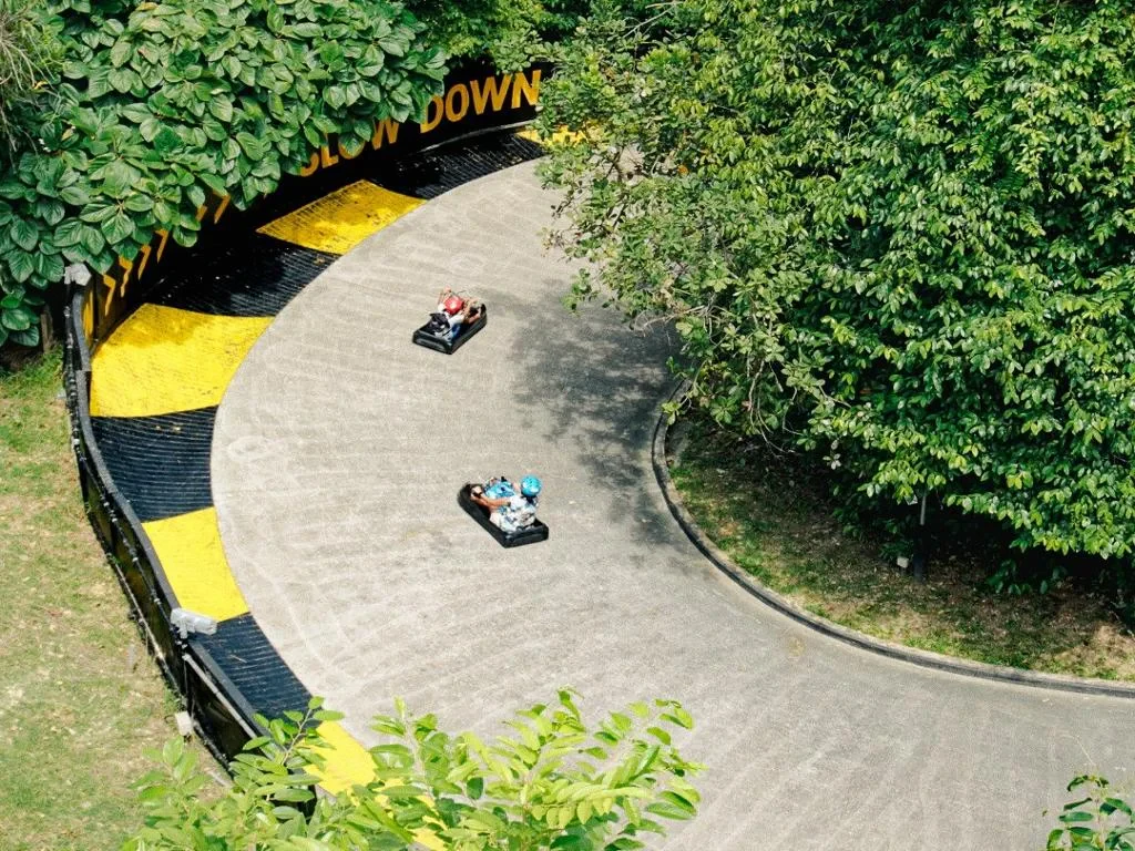 Skyline Luge Sentosa - Ticket - Photo 2