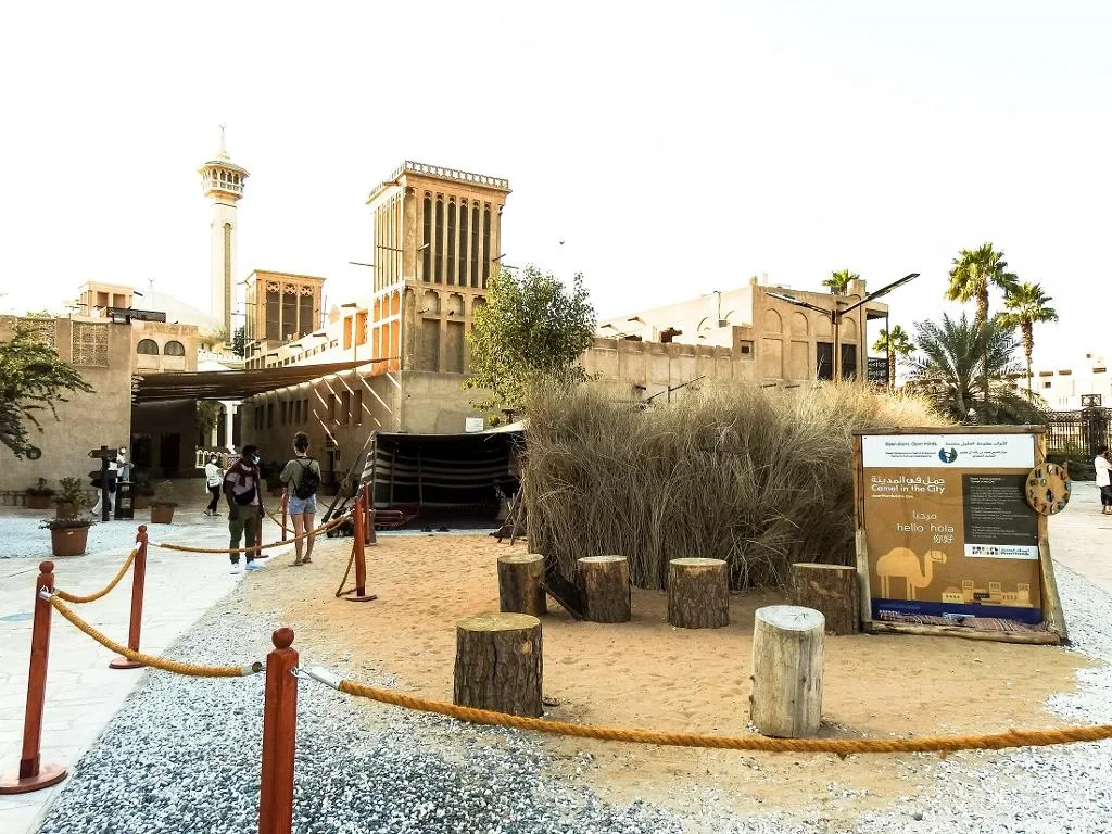 Stopover Dubai from Airport - Private Tour - Photo 9