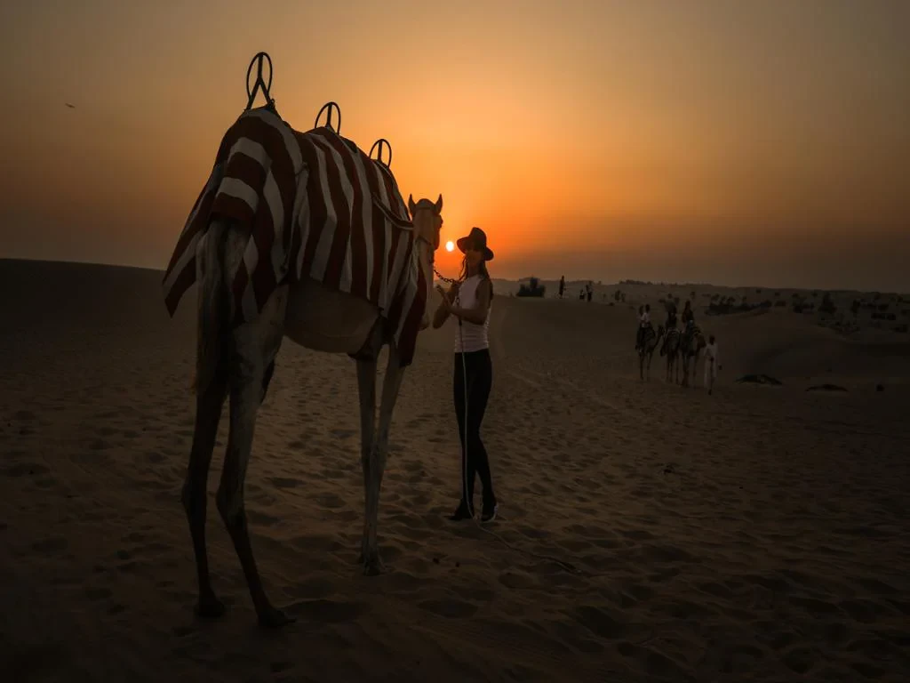 Sunset Camel Trekking With BBQ Dinner