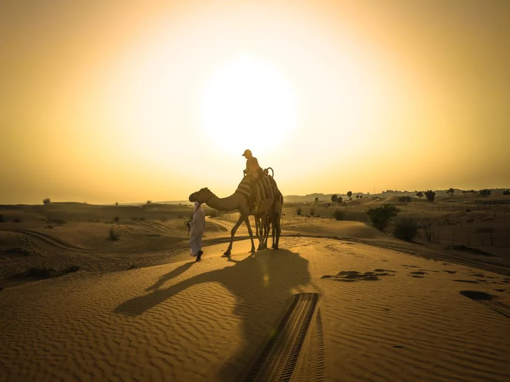 Sunset Camel Trekking With BBQ Dinner - Photo 6
