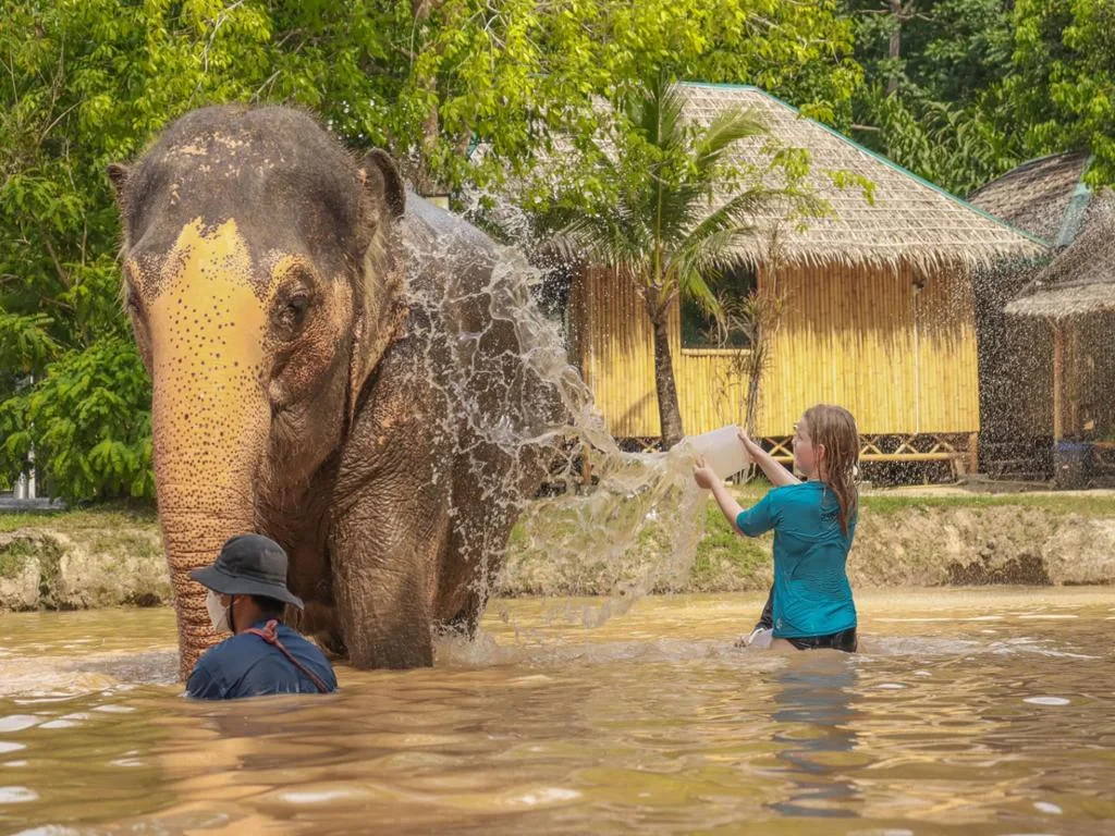 Visit Green Elephant Sanctuary Park