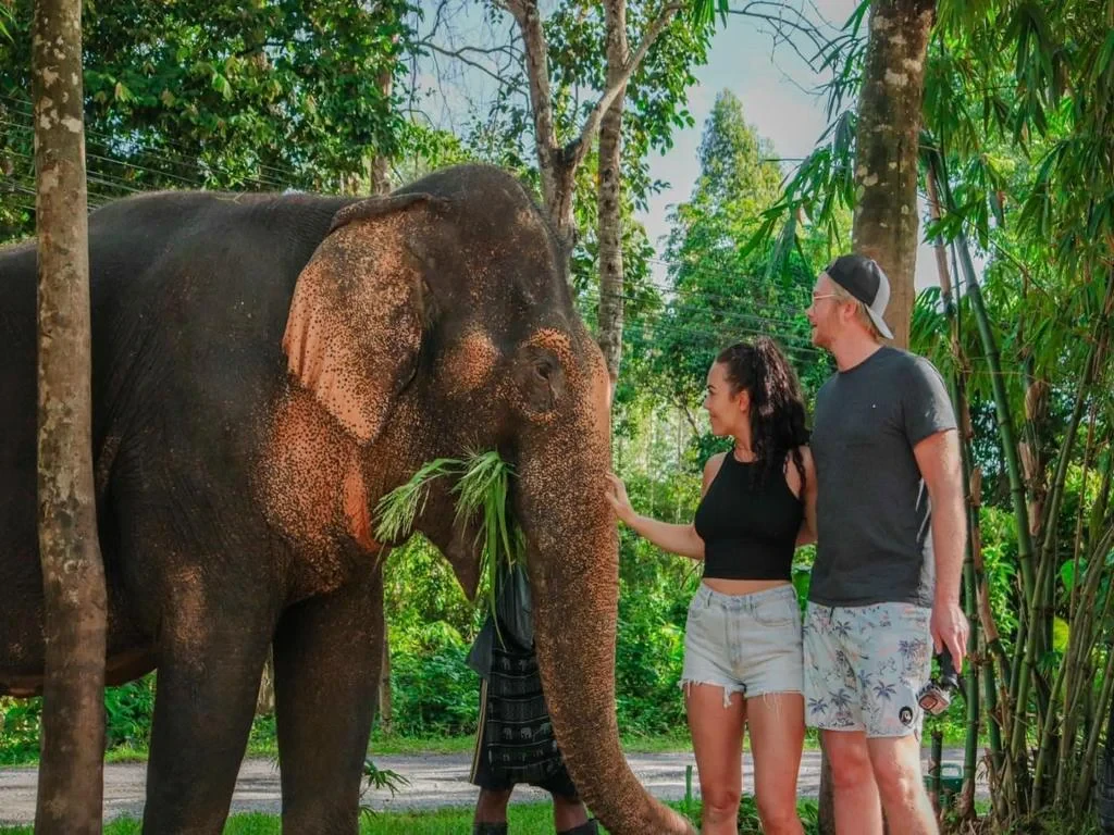 Visit Green Elephant Sanctuary Park - Photo 3