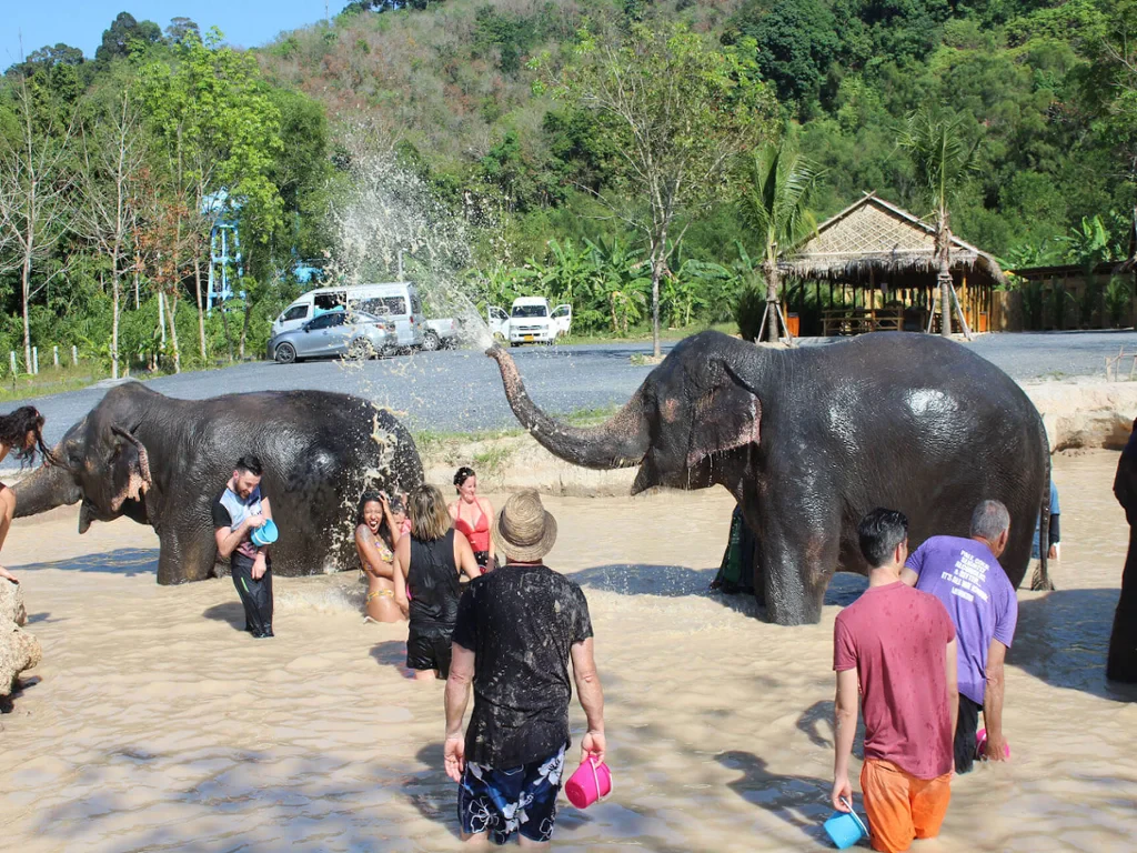Visit Green Elephant Sanctuary Park - Photo 4