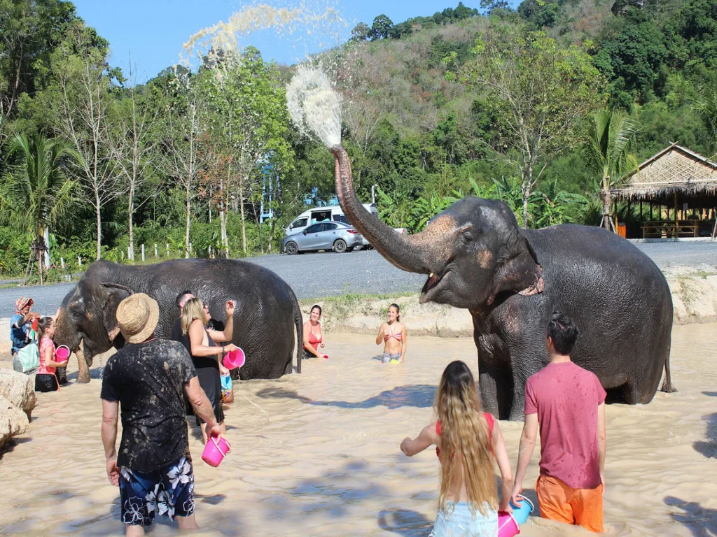 Visit Green Elephant Sanctuary Park - Photo 5