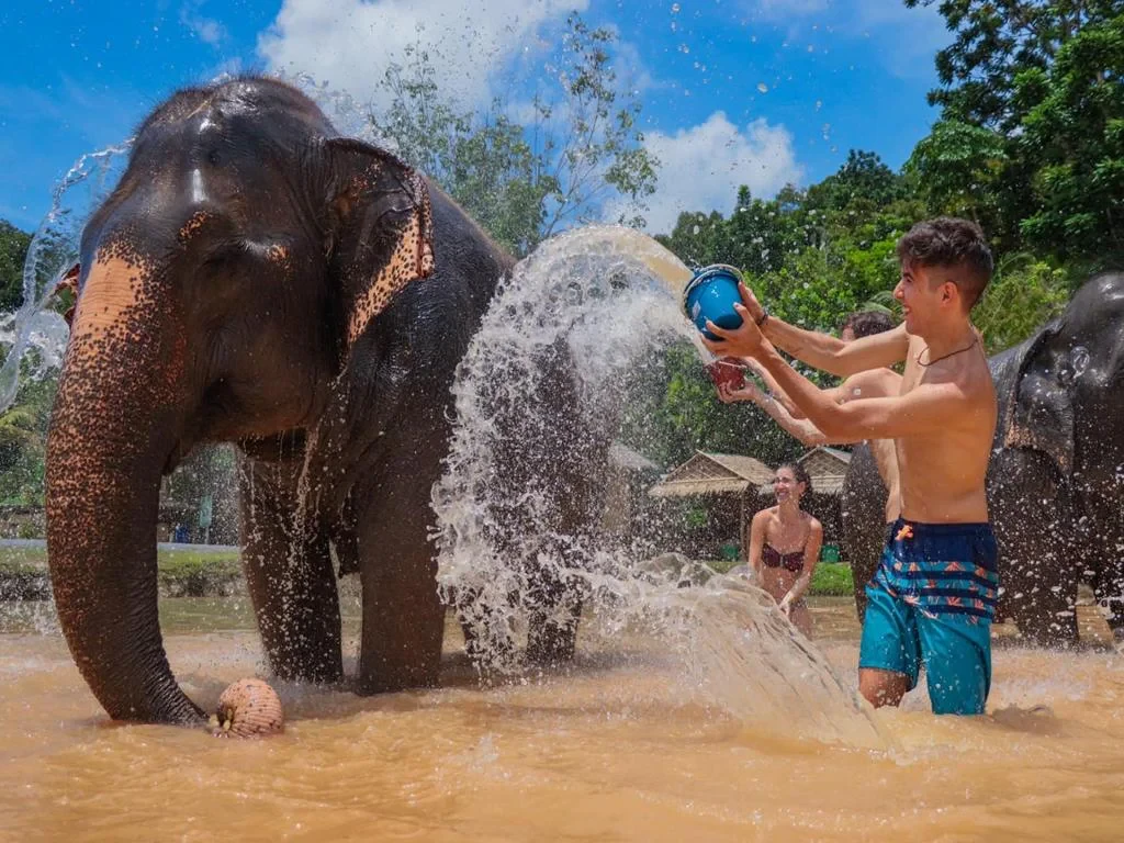 Visit Green Elephant Sanctuary Park - Photo 8